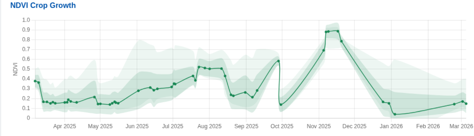 NDVI crop growth graph showing vegetation development over time